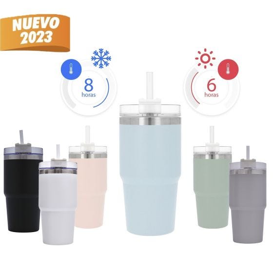 GPS PROMOCIONALES: TERMO CARSON DE 350 ML